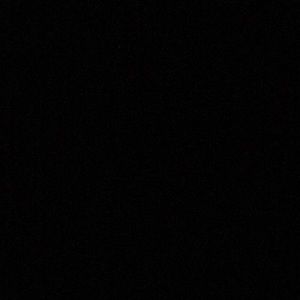 Meet your Posher, Angelina